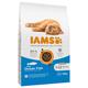 IAMS Advanced Nutrition Kitten poisson de mer pour chaton - 2 x 10 kg