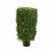 Tori Home Rectangle Boxwood Topiary in Pot Liner Liner Plastic | 30 H x 12.375 W x 10.8 D in | Wayfair LPB232-GR/TT