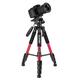 Zomei Z666 Camera Tripod 55 inch - red Compact Lightweight Travel Tripod with 3 Way Panhead 360° Head Include Carry Case Max