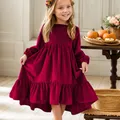 Robe de princesse en velours à manches longues pour filles ourlet à volants robe de soirée pour