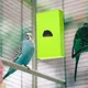 Chauffage à oiseaux pour l'hiver perche pour les perruches de Lovebird perruches perruches