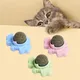 Boule de bonbons à lécher pour chat jouets en forme d'herbe à chat friandises élimine les boules
