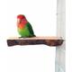 Natural Apple Wood Perch Platform, Branch Supports, Bird Cage Accessories, Grinding Legs, for Cockatiels Conures Macaws Finches Lovebirds.