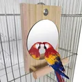 Parrot Perch Mirror Wooden Stand Birdcage Stands with Mirror for Macaws Canaries Cockatoos Parakeets