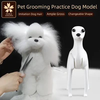 Professional pet grooming model dog for grooming practice dog standard skeleton model dog pet simulator model