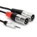 Hosa Technology Pro Stereo Breakout Cable - 3.5mm Stereo Mini to Dual 3-Pin XLR Male (6') HMX-006Y