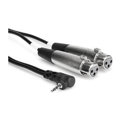 Hosa Technology Stereo Mini Angled Male to 2 XLR Female Y-Cable - 1' CYX-401F