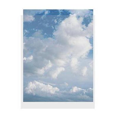 ClearFile Print Protector (9 x 12