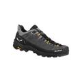 Salewa Alp Trainer 2 GTX Hiking Boots - Men's Onyx/Black 12 00-0000061400-0876-12