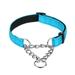 for Small Medium Large Dogs Stainless Steel Chain Adjustable Martingale Dog Collar Reflective Nylon Fabric Dog Leash Necklace Pet Collars BLUE M