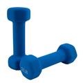 Antzz Dumbbells Set of 2 Exercise Fitness Dumbbell for Home Gym Free Weights Hand Hex Dumb Bells Blue 2LB
