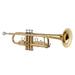 Carevas Standard Bb Brass Trumpet Wind Instrument with Mouthpiece Carry Bag Gloves Cleaning Cloth Tuner