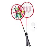 Wilson Hyper 6000 Series 2 Person Badminton Set