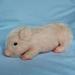 Relax love Soft Silicone Pig Doll 6in BPA-Free SCute Lifelike Baby Gift for Home Decoration Photography Playing