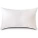 15X21 Hypoallergenic Luxury 100% Small Feather Rectangular Pillow Insert 100% Cambric Cotton Shell Never Vacuum-Packed Odorless Made In