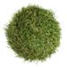 Vickerman 5.5 Artificial Green Grass Ball Set of 4