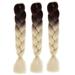 1PC New Fashion Womens Gradient Long Braid Wavy Party Wigs B