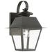 Wentworth 1 Light Charcoal Outdoor Small Wall Lantern