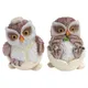 Figurines de hibou de bureau en résine 2 pièces Mini hibou avec coquille d'œuf pour mousse