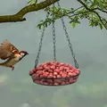 Mangeoire à oiseaux avec mangeoire pour colibris mangeoire pour oiseaux errants mangeoire pour