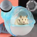 Bain de sable transparent pour gerbille toilette pour hamster syrien