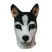 NUOLUX Novelty Halloween Underdog Costume Party Latex Animal Dog Head Mask - Random Ear Color (Husky)