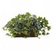 Nearly Natural Puff Ivy With Ledge Basket Green 12.5 in.
