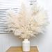 Primrue 17" Pampas Grass Plant | 17 H x 15 W x 15 D in | Wayfair 63C8221B2E9F425E847BED62872B4576