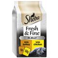 6x50g Chicken & Turkey in Jelly Pouches Sheba Fresh & Fine Wet Cat Food