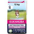 Eukanuba Welpenfutter getreidefrei mit Lamm für kleine und mittelgroße Rassen - Trockenfutter ohne Getreide für Junior Hunde, 12 kg
