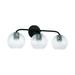 Capital Lighting 149931-544 Dolan 3 Light 25 Wide Vanity Light - Black