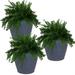 Anjelica Flower Planter - Outdoor/Indoor Unbreakable Double-Walled Polyresin With UV-Resistant Slate Finish - Set Of 3 - Large 24-Inch Diameter