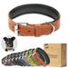 Filbert Padded Leather Dog Collar for Large Dogs Medium & Small Dogs Leather Collar for Dogs Orange Dog Collar +12 Colors Genuine Leather Dog Collars + Leather Lining Luxury Dog Collar
