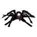 Hemoton 1Pc Halloween Pet Costume Cat Dog Dog Spider Skull Design Costume Pet Supply