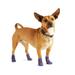 Geometric/Stripe Sock Dog Pack, Large/X-Large, Orange, Orange / Blue