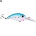 Biplut 10cm 14.52g Artificial Fishing Lure Hard Crank Bait Wobbler Tackle with Hook (Style B)