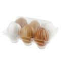 Rural365 Plastic Egg Carton for 6 Eggs 25ct Reusable Chicken Egg Holder