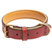 Filbert Padded Leather Dog Collar for Medium Dogs Genuine Soft Leather Collar for Dogs Black Leather Dog Collar Red Dog Collar Leather + 3 Colors Medium Dog Leather Collar