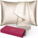 DEELLEEO Silk Pillowcase for Hair and Skin 1 Pack 100% Mulberry Silk & Natural Wood Pulp Fiber Double-Sided Design Silk Pillow Covers with Hidden Zipper (queen size:20 x 30 Champagne Goldï¼‰