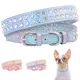 Collier de chien en biscuits Bling colliers de chiot mignon colliers de chat collier d'animal de