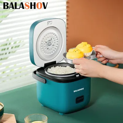 Mini cuiseur à riz électrique domestique automatique petit cuiseur à vapeur chauffe-plats machine