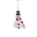 The Holiday Aisle® Gerbrig Snowman Wearing Scarf Hanging Figurine Ornament Glass | 5.5 H x 3 W x 3 D in | Wayfair 57D159DAF569465DA3B8A4CE3496C1A0