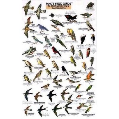 Mac's Field Guides: Southwest Park/Garden Birds