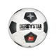 Derbystar Unisex - Adult Bundesliga Brilliant Replica Classic v23 Football, White, 5