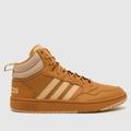 adidas hoops 3.0 mid trainers in beige & brown