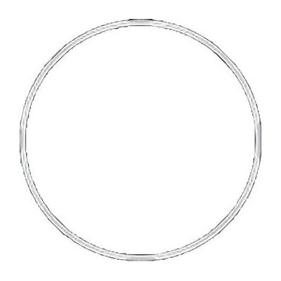 Fantasea Line Main O-Ring for FG7X and FG7XII Underwater Housings (White) 11132