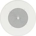 Bogen Ceiling Speaker Assembly with S86 8" Cone & Screw Terminal Bridge (Bright W S86T725PG8UBR