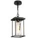 Jushoa 14.2" High Black Glass Outdoor Hanging Light