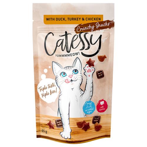 5x 65g Catessy mit Ente, Truthahn & Huhn Knuspersnacks für Katzen