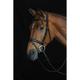 Collegiate Comfort Crown Padded Raised Flash Bridle, Black, Cob